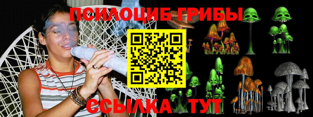 Псилоцибиновые грибы Cubensis  Вход с VPN  закладка  Бийск 